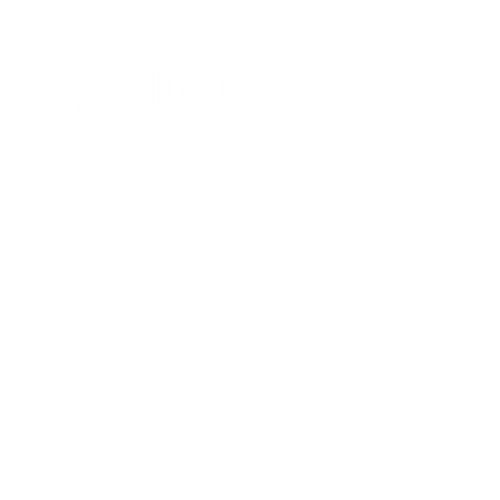 Icon Icon